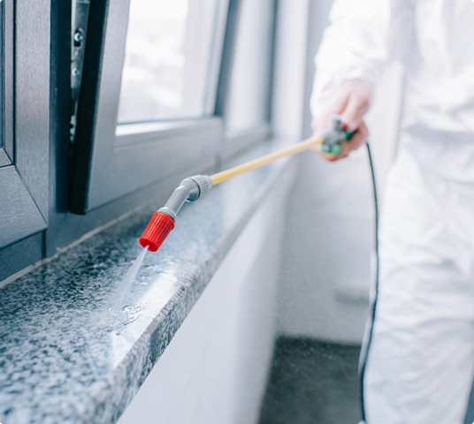 best pest control marketing companies near me