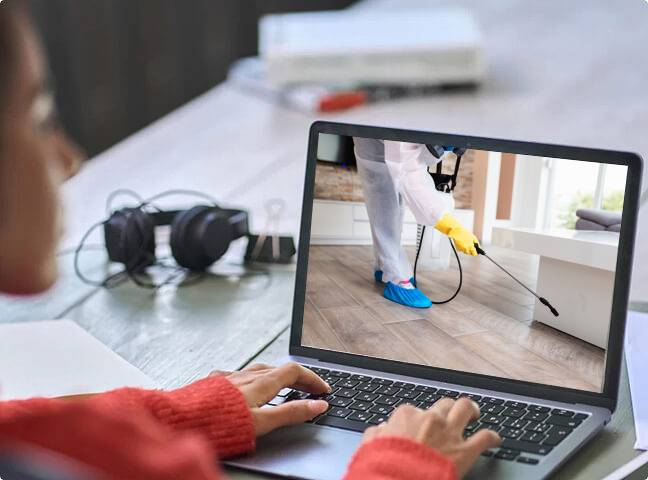 High-quality pest control web design services near me